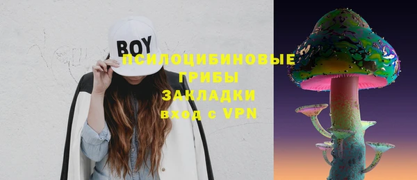 прущий лед Верея