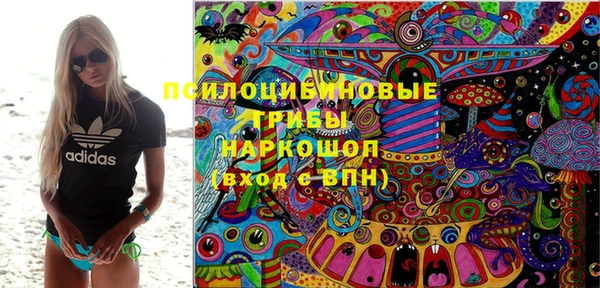 прущий лед Верея